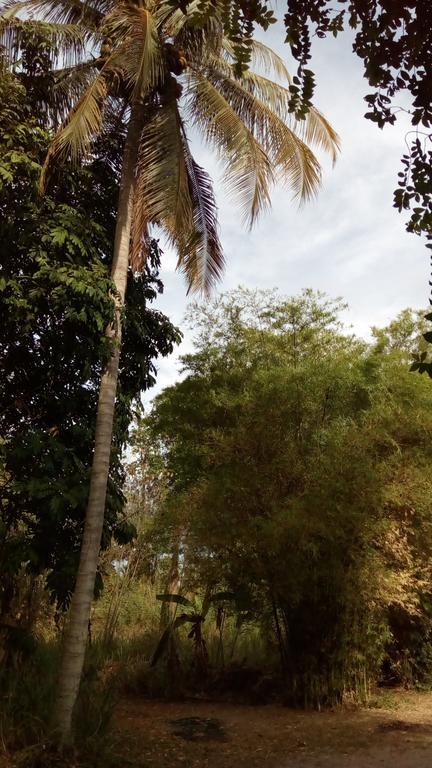 Suratthani Airport Campsite Surat Thani Esterno foto