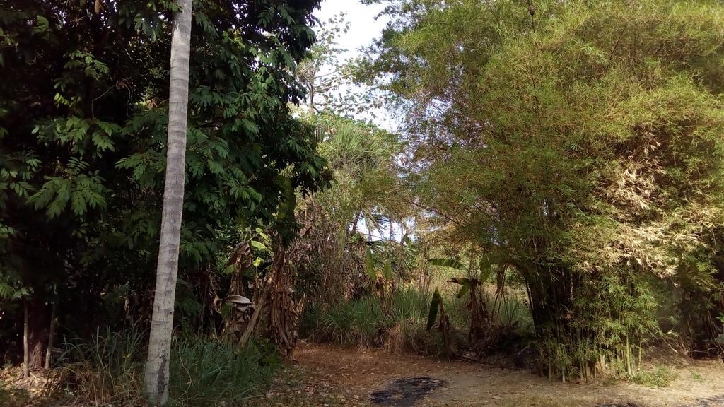Suratthani Airport Campsite Surat Thani Esterno foto